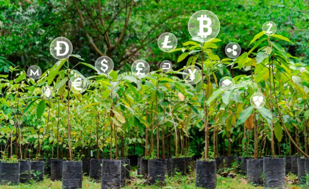 Growing Trust: Blockchain's Revolutionary Impact on Agriculture