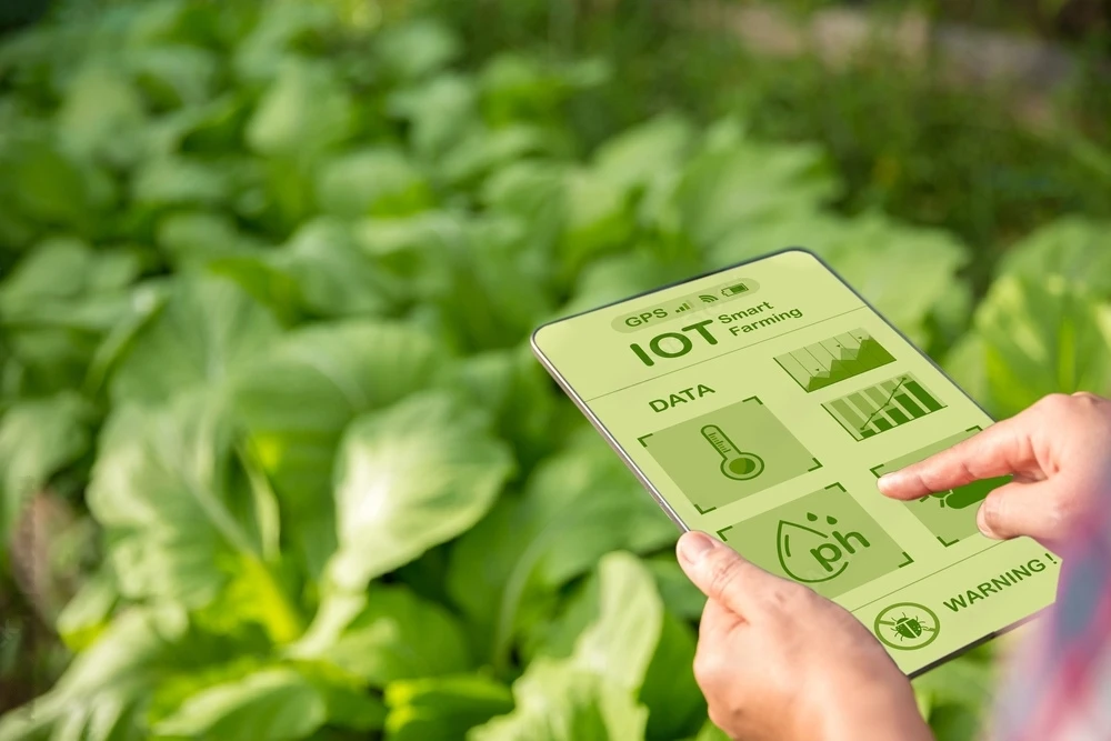 Cultivating Tomorrow: The Impact of IoT in Agriculture
