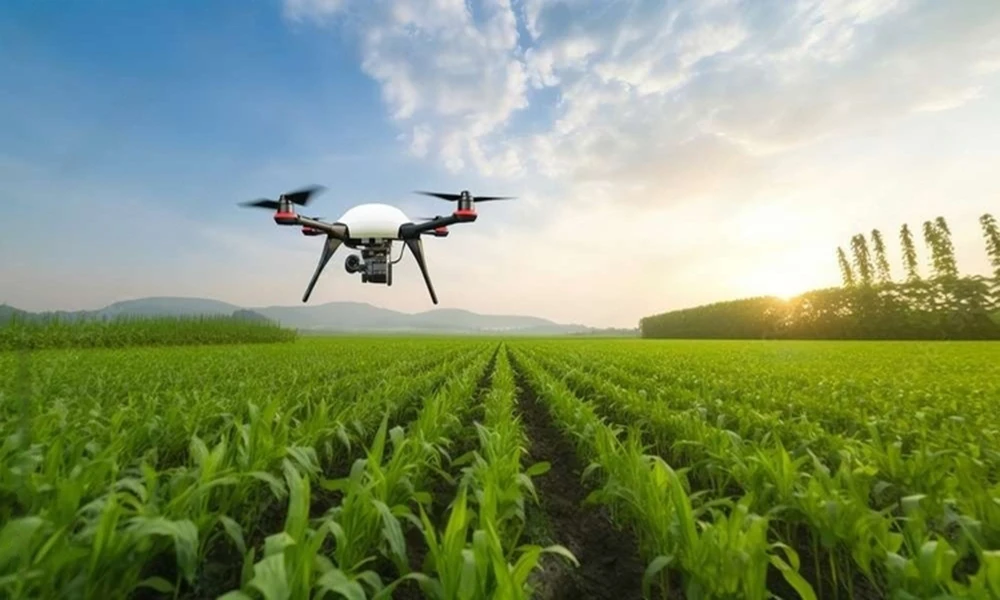 Taking Flight: Drones Transforming Agriculture's Horizon