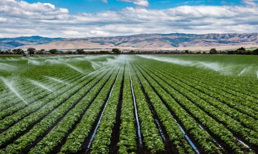 Nurturing Growth: The Evolution of Agriculture through Smart Irrigation Systems