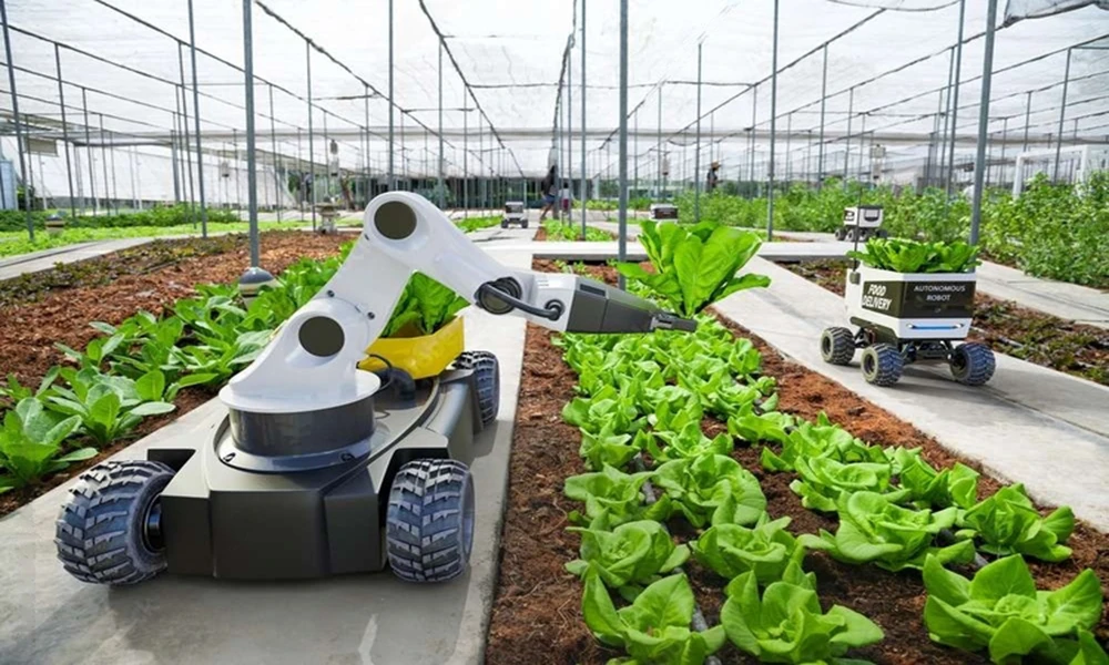 Cultivating Efficiency: The Role of Robotics in Modern Agriculture