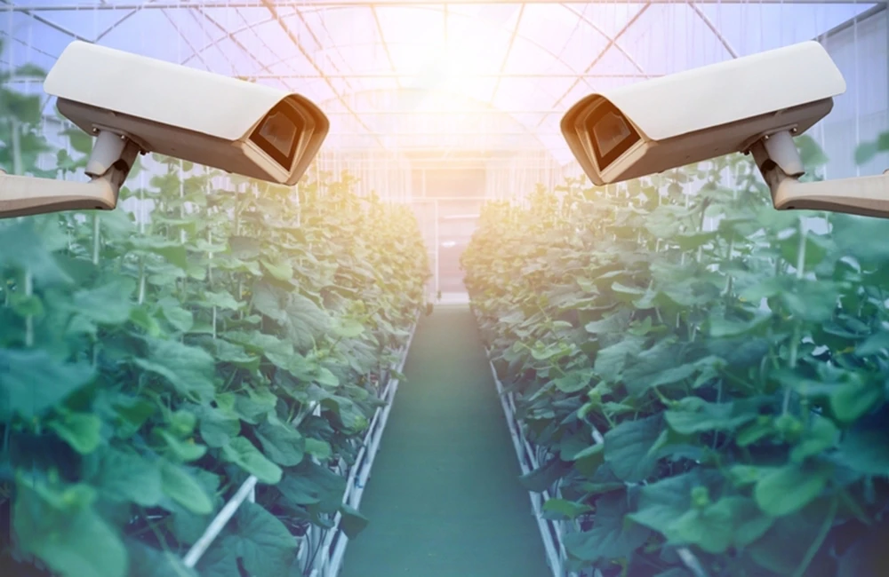 Fields of the Future: How AI Cameras Are Transforming Agriculture